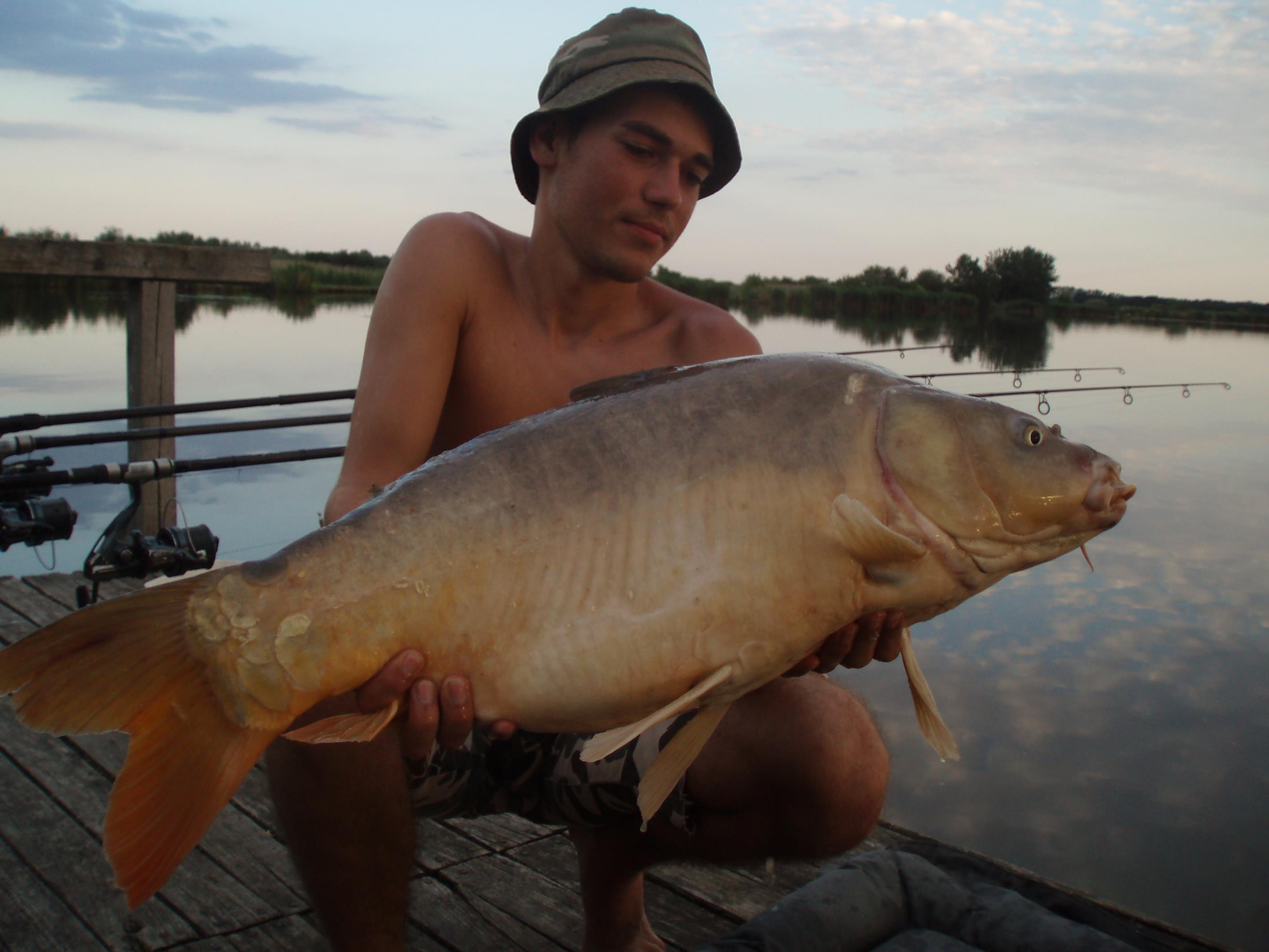 ohat3 - P1010008.JPG